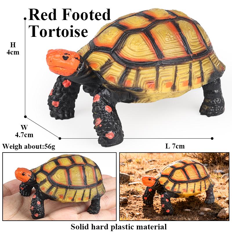 Oenux Reptile Animals Star Turtle Tortoise Geochelone Model Figurines Action Figures PVC Ornament Education Kid Toy Gift