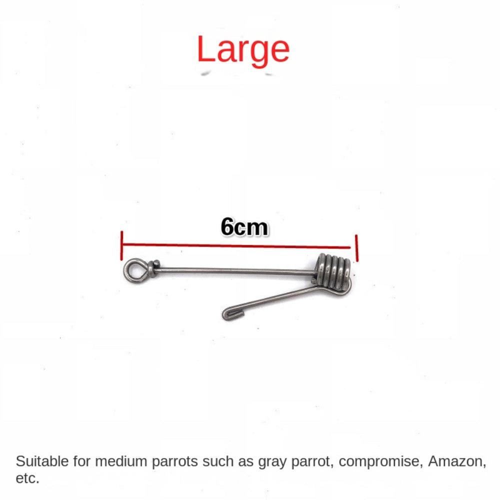 Safe Bird Training Chain Accessories Bird Anklet Rings New Flee-proof Rings Outdoor