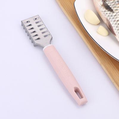 Good Long Lasting Simple Operation Practical Fast Cleaning Fish Scale Peeler for Home Fish Scale Brush