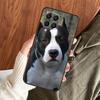 Pitbull Dog Case For Samsung Galaxy M11 M21 M31 M35 M12 M13 M14 M15 M16 M36 M56 M53 M32 M52 M55 M34 M54
