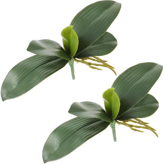 2 Pcs Orchid Leaves Artificial Real Touch Faux Phalaenopsis Stems Leaf 8 Inches Green Leaf Plants Fake Cymbidium Flower Foliage Green Real Touch