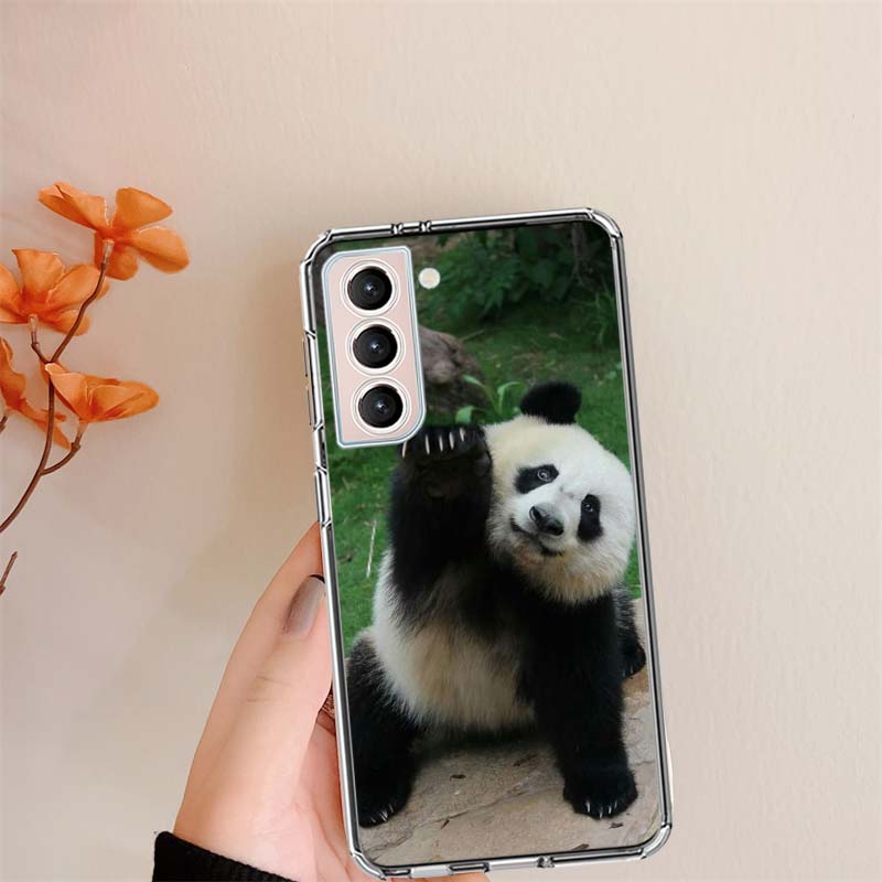 Panda Baby, Giant Panda Family Clear Phone Cases for Samsung S26 Ultra Galaxy S25 Edge S24 S23 FE S21 Plus S20 S22 S10 Cover Pat