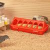 Feeding Equipment for Pet Birds Including A Waterer and Trough for Pigeons, Parrots, Chickens, Chicks, and Ducks, Sold As A Single Piece