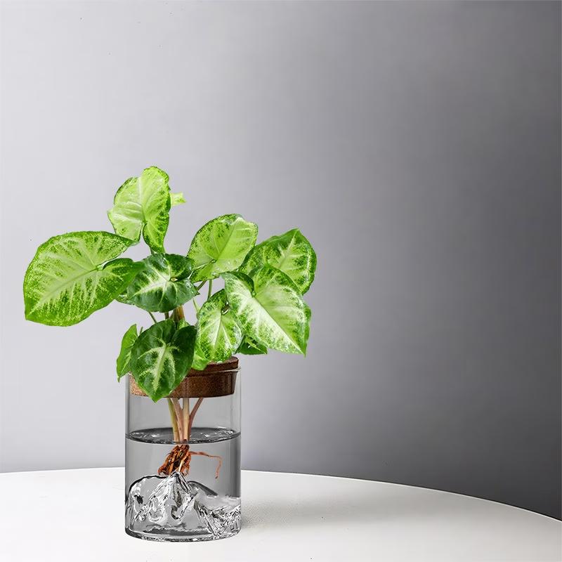 1pc Hydroponic Plant Vase With Wood Lid For Indoor Hydroponic Gardens Transparent Seedling Pot Gardening Accessories