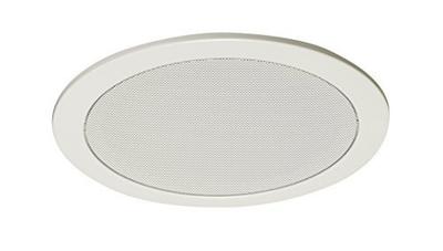 Panneau d'enceinte TOA 230mm CP-239W