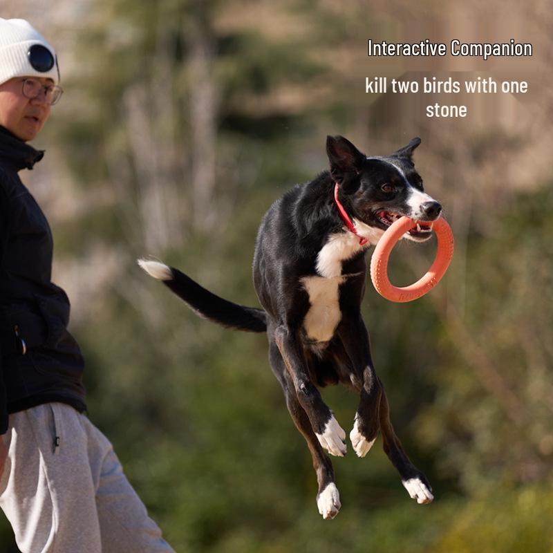 Eisenwell Durable Interactive Ring Toy for Large Breeds - Perfect for Golden Retrievers & Labradors