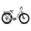 HAOQI Eagle 1.0 All-Terrain Adult EBike 26 Inch Off-Road Tires Electic Bicycle 48V20Ah Battery 250W Motor Outdoor Electic Bike