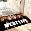 Door Mats Interior Foot Rug Welcome W-Westife Floor Mat for Entryway Soft Hallway Carpet Kitchen Rugs Fluffy Home Decoration
