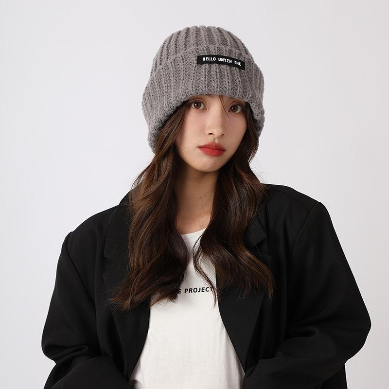 Japanese couple wool pile hat men's and women's autumn and winter versatile Korean version knitted hat warm big head loose hat