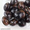 Vajra Star Moon Bodhi Beads - Raw Loose Beads for Handmade DIY Jewelry