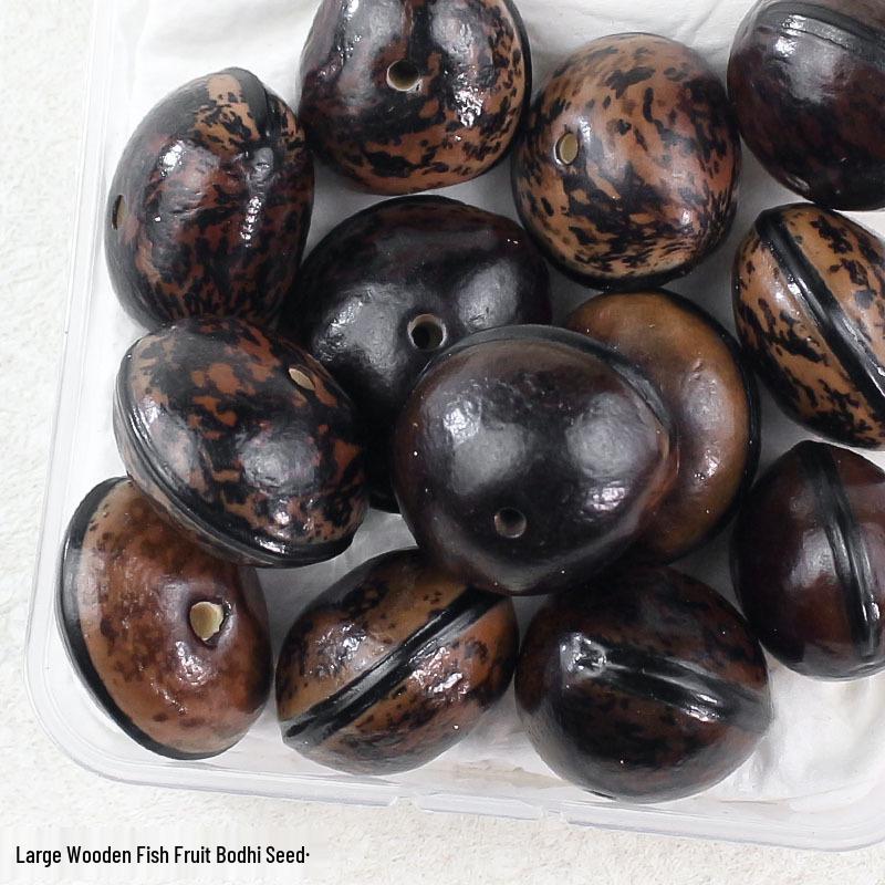 Vajra Star Moon Bodhi Beads - Raw Loose Beads for Handmade DIY Jewelry