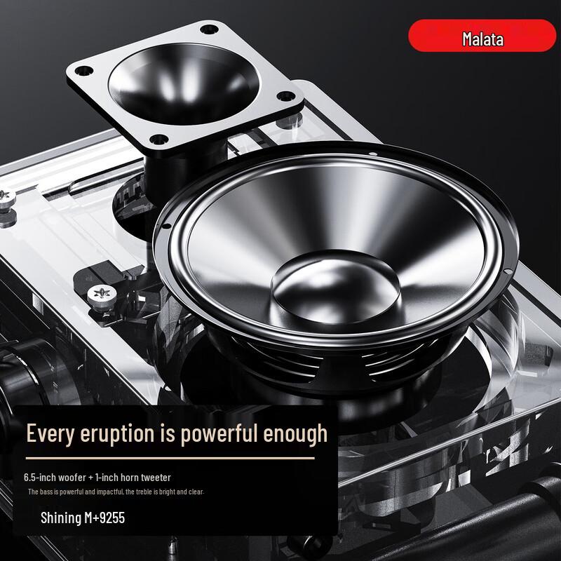 Malata M+9255 Outdoor Portable Bluetooth Karaoke Speaker CN plug (adapter included)