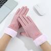 Thick Plush Touchscreen Gloves Windproof Windproof Driving Gloves Winter Warm Gloves  Cold Weather