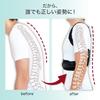 Commoc Posture Chair Posture Posture Support Belt, Cushion, Cushion, Adults, Children, Women, Men, (XL)