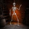Poseable Halloween Prop 3ft Life Size Skeleton, Full Body Posable Plastic Skeleton Prop, Realistic with Movable Jaw Human Bones Model for Yard