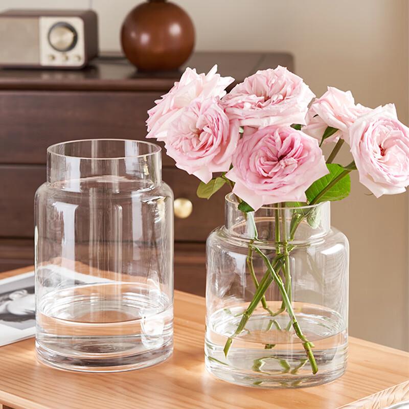 Elegant Glass Flower Vases for Home Decor