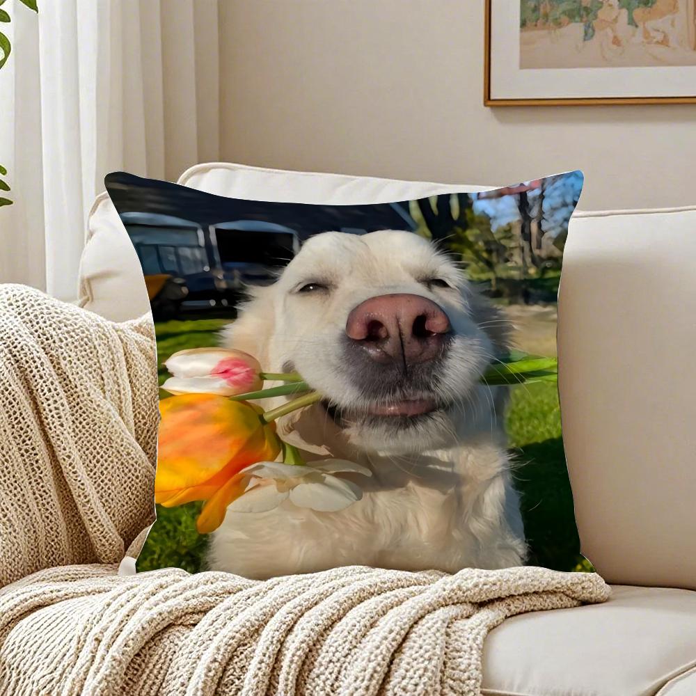 Happy Cute Puppy Smiling Sunshine Cushion Cover Pillowcase Antidustmite living Room Sofa Decor Cushion Room