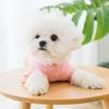 Cute Strawberry Bottoming Shirt Spring and Summer Thin Lace Breathable Puppy Solid Color Sweater Kitten