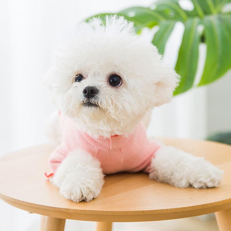 Cute Strawberry Bottoming Shirt Spring and Summer Thin Lace Breathable Puppy Solid Color Sweater Kitten