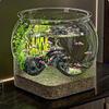 Leduo Shiguang Clear Plastic Desktop Ecological Fish Tank