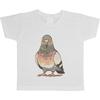 Kinder Kids T Shirt Quot Taube Stehend Baumwolle Ts054027 Vintage Soft Casual Stretched Top For Everyday Wear Slightly