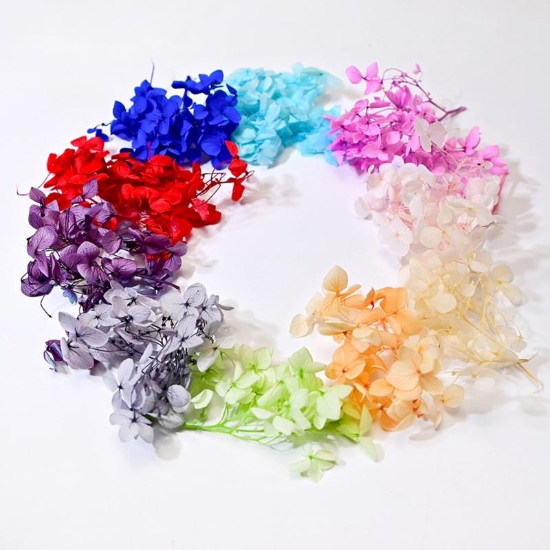Mazzo di Fiori Secchi in Resina per Uso a Lungo Termine Gipsofila Ortensia Artigianato Floreale per Decorazione da Tavolo Regalo