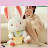 Adorable Bunny Fairy Plush Doll For Girls Soft And Cuddly Stuffed Toy Ideal Birthday Gift