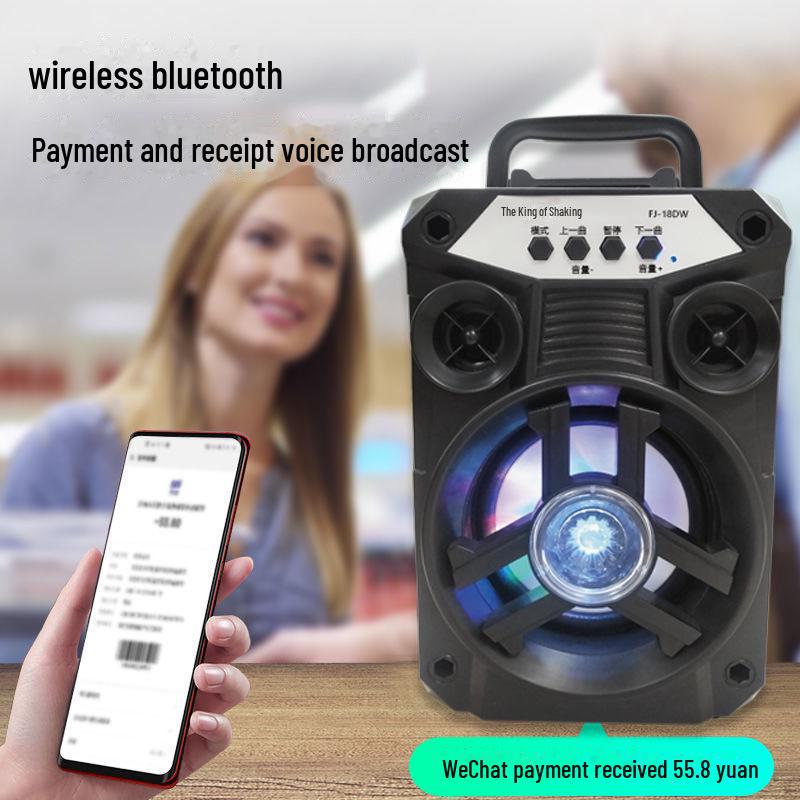 Portable Colorful Bluetooth Speaker with Microphone for Outdoor Dance and Karaoke, Card Insert Feature