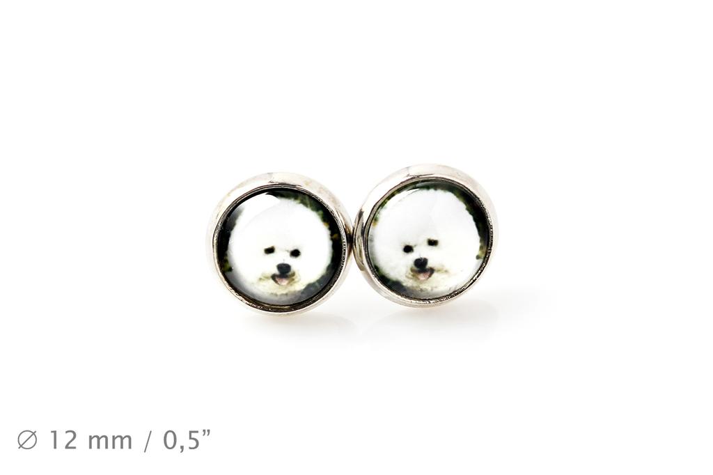 Bichon Frise, Bichon Tenerife, Bichon a Poil Frise - Earrings Your Photo Handmade, Own Photo, Jewelry from the Art.-Dog Brand