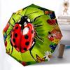 Accesorii – Umbrele