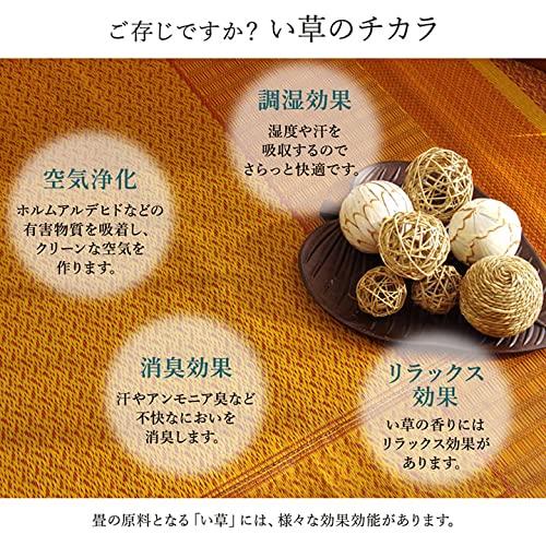 IKEHIKO Igusa Flower Tatami Carpet, Made in Japan, Ranks, Navy, 261 x 261 cm, Edo-style (4.5 tatami mats), 4131504