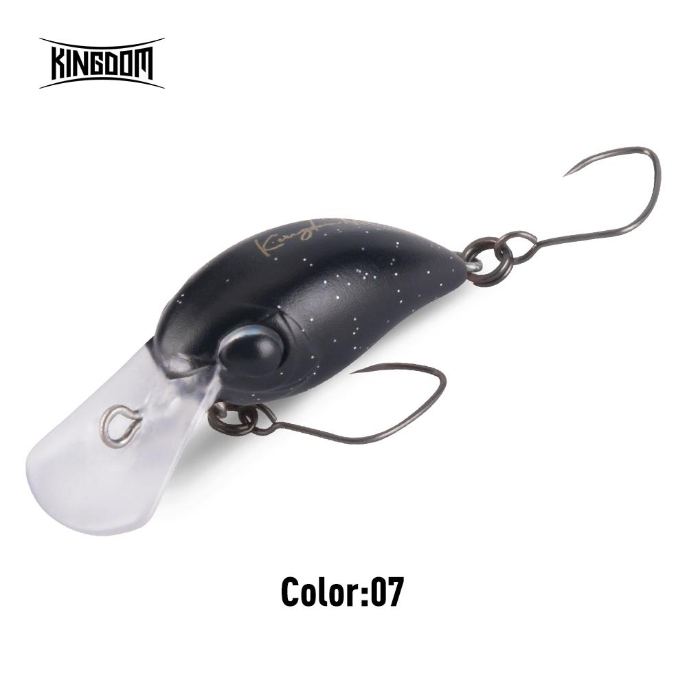 Kingdom Rybářská nástraha Micro Expert Minnow 1,5g 3,2g 25mm 32mm Povrchová Umělá Tuhá Crankbait Wobblery Okoun Pstruh Návnady