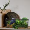 1Pcs Strong Fruit Organizer Basket Kitchen Storage Container for Snacks Fruits Vegetables Draining Mesh Handle Hole Modern Iron