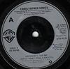 7inch Record CHRISTOPHER CROSS  Arthurs Theme Best That You Can D K17847 Warner Bros. Re 1981 UK Rock Used