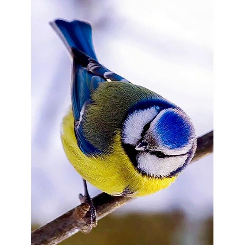 New 5D DIY Diamond Painting Bird Flower Diamond Embroidery Landscape Cross Stitch Full Round Drill Home Decor Manual Gift