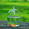 Vase Fishbowl Transparent Hanging Glass Creative Decor Fish Tank for Living Room