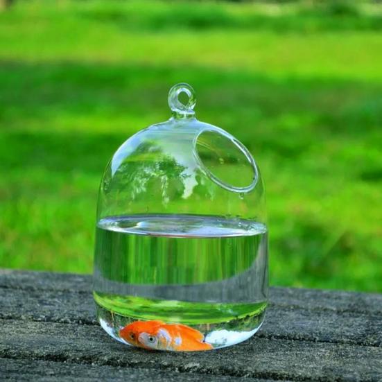 Vase Fishbowl Transparent Hanging Glass Creative Decor Fish Tank for Living Room