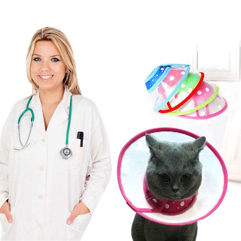 Transparenter Kegel aus Kunststoff für Haustiere, Katzen-Erholungskegelhalsband, verstellbares E-Halsband für Hunde, Schutzhalsband für Haustiere mit weicher Kante, Anti-Beißen, Anti-Lecken