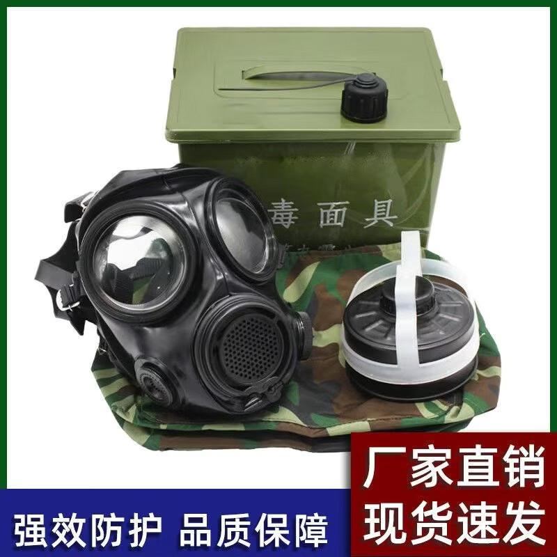 Lieve Full-Face Gas Mask