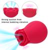 Oral Nipple Sucker Vaginal Sucking Vibrators 10 Speeds Rose Shape Clitoris Stimulation Adult Sex Toys Products