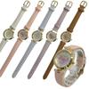 Fieldwork Analog Epi Leather Strap White ST216-1 Women's Watch,