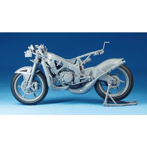 Hasegawa 1/12 Scale Scott Racing Team Honda NSR250RW 2009 WGP250 Champion Plastic Model Kit, BK1