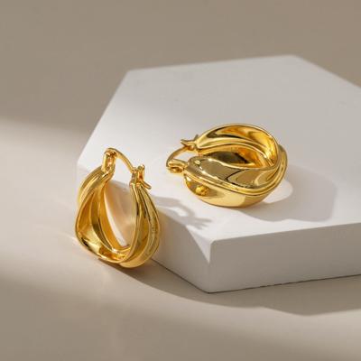 Geometry Twisted Thick Hoop Earrings Fashion Big Round Circle Earrings For Women Punk Hiphop Jewelry