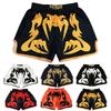 Boxstrumpfhosen Schnelltrocknende Shorts Gym Pants