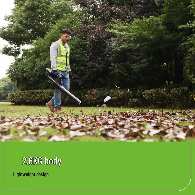 Greenworks 82V Cordless Handheld Blower