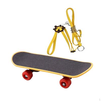 2 kusy želví skateboard hračka s postrojem Zábavná víceúčelová aktivita Želva Rychlá