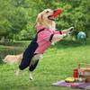 Dog Outfit Four Legged Pet Dog Jumpsuit Striped Warm Pet Sweatshirt Windproof Thickened Dog Clothing Pet Supplies
