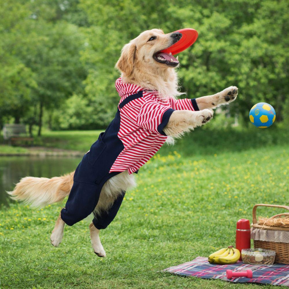 Dog Outfit Four Legged Pet Dog Jumpsuit Striped Warm Pet Sweatshirt Windproof Thickened Dog Clothing Pet Supplies