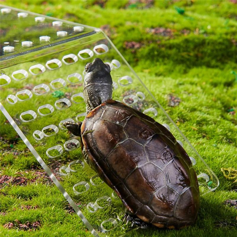 M-Modern-New Hanging Turtle Basking Platform Transparent Perforated Climbing Platform With Wide Hook For Small & Medium Turtle