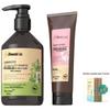 Qinyi Mugwort Oil Control Shampoo Set